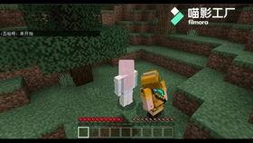 骇客生存最新爆料视频,揭秘顶级黑客的生存法则与实战技巧